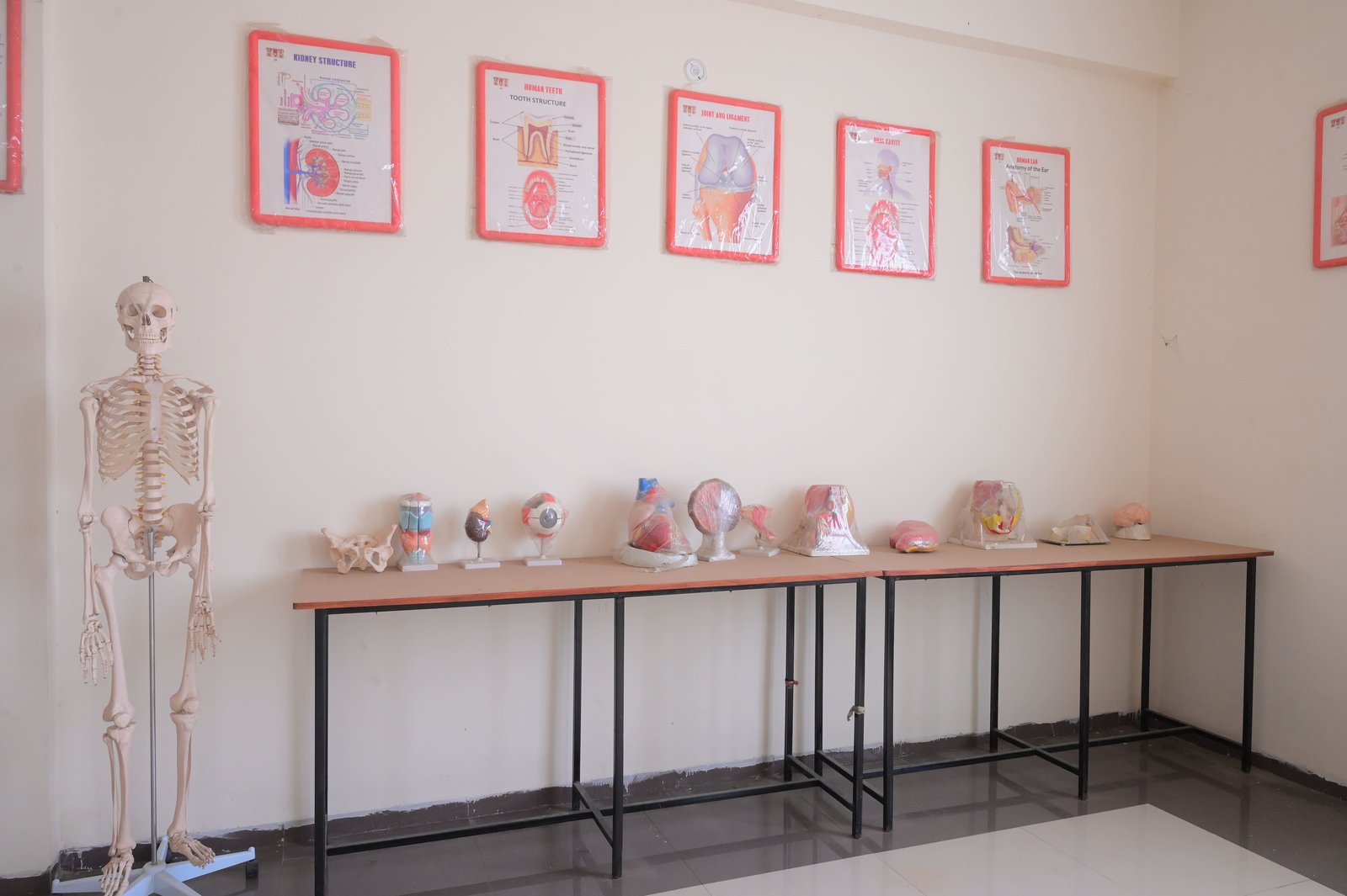Hands-on Practical Training at Dr. R.N. Gupta Institute