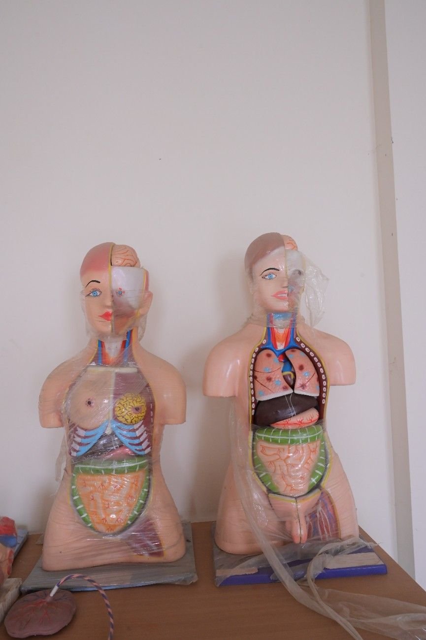 Student Activity Models